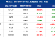 2024年11月中国炼焦煤进口量分析及12月展望：区块链视角