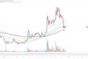 柴犬币(SHIB) 价格分析：关键支撑位告急？