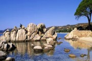 AI平台Sahara公测上线：苗博雅关注，主权基金或入局，数据确权新时代